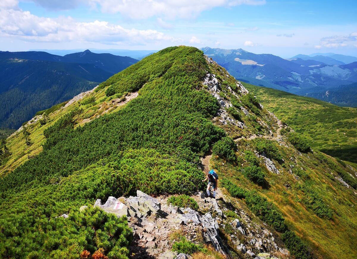 calimani mountains national park eastern carpathians