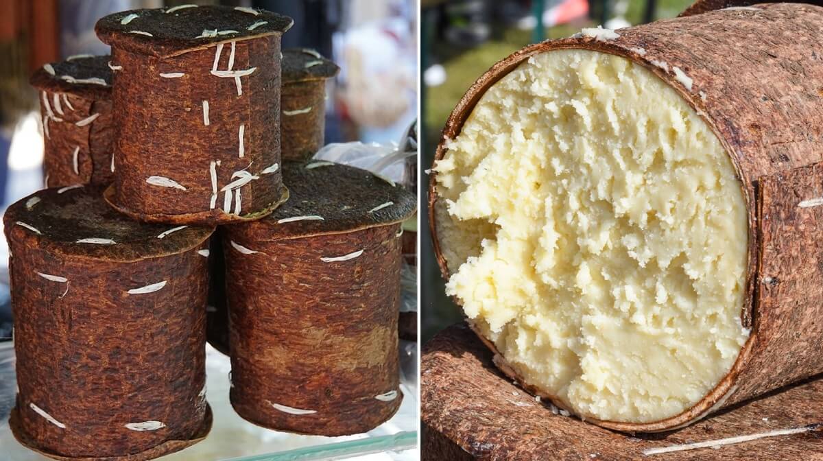 transylvania-cheese-aged-in-fir-tree-bark