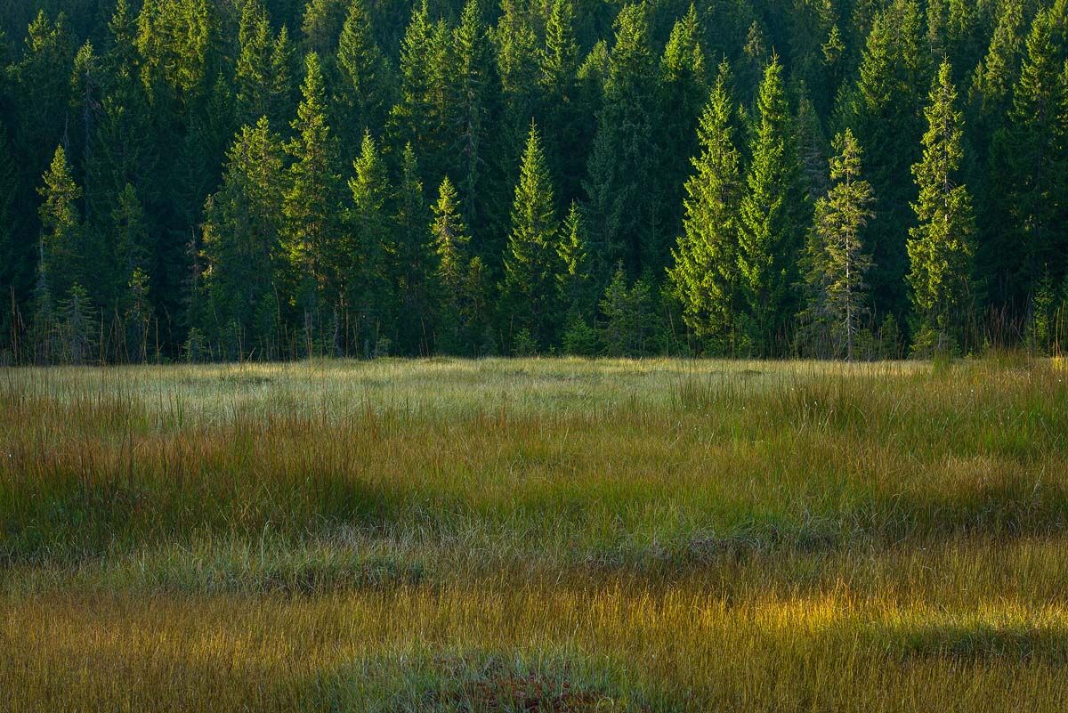 Apuseni Mountains Nature Park