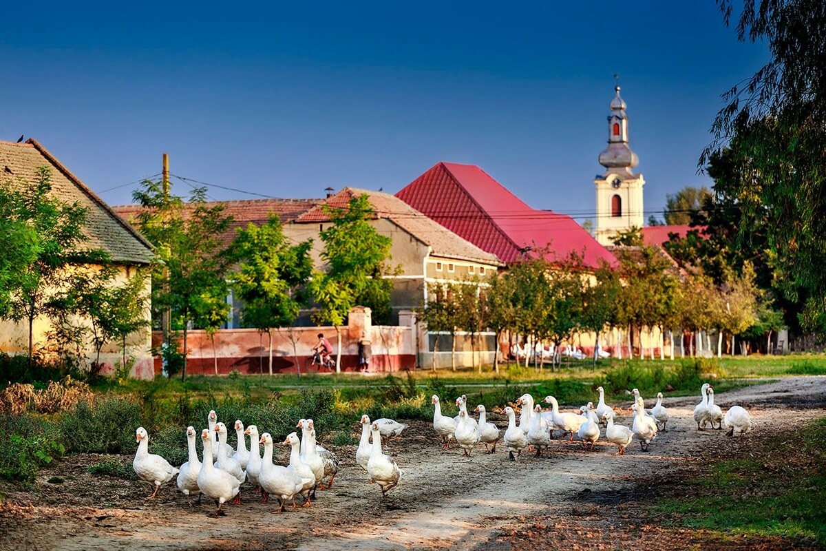 romania-village-main-street