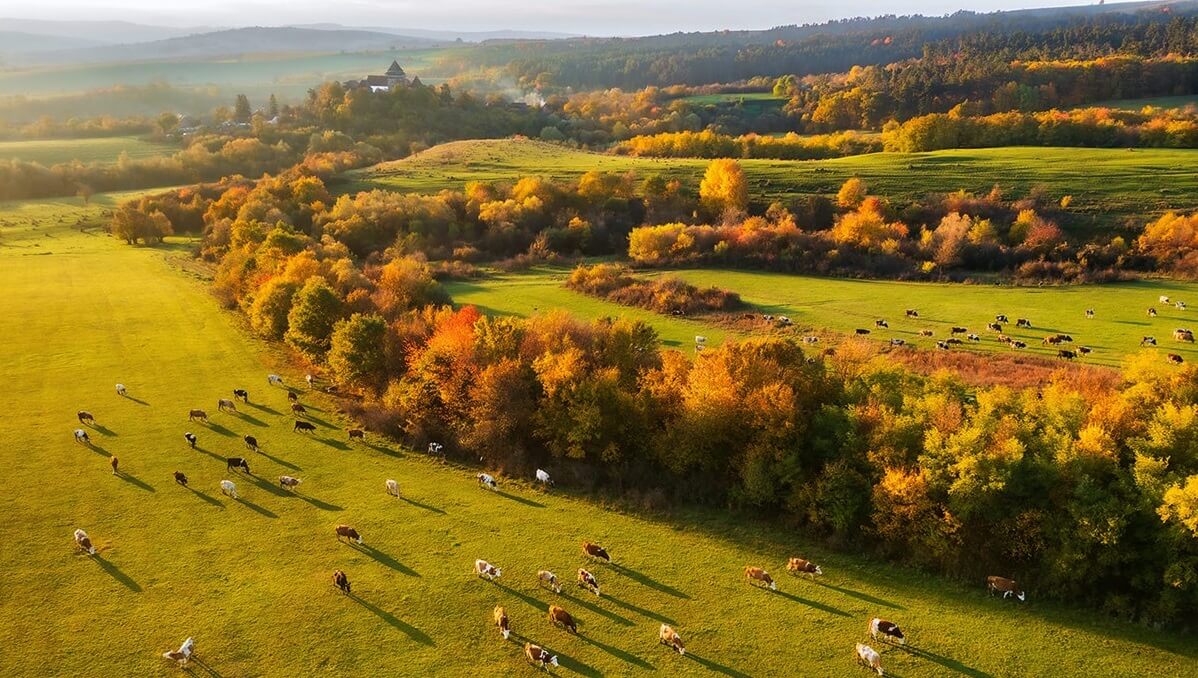 village-viscri-transylvania-view-from-far